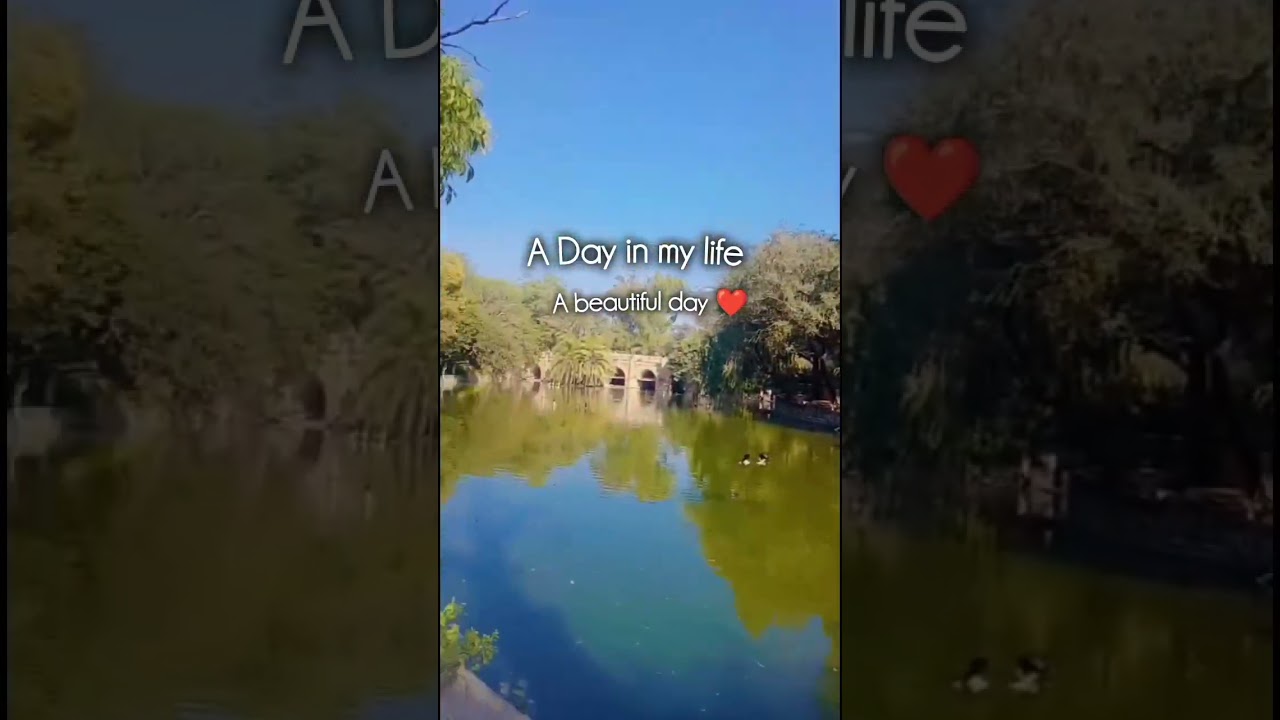 nahi bethna hai hame ghar par 