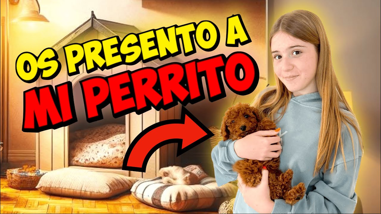 OS PRESENTO A MI PERRITO BEB&Eacute; 🐶 NUEVO MIEMBRO EN LA FAMILIA DANIELA GO