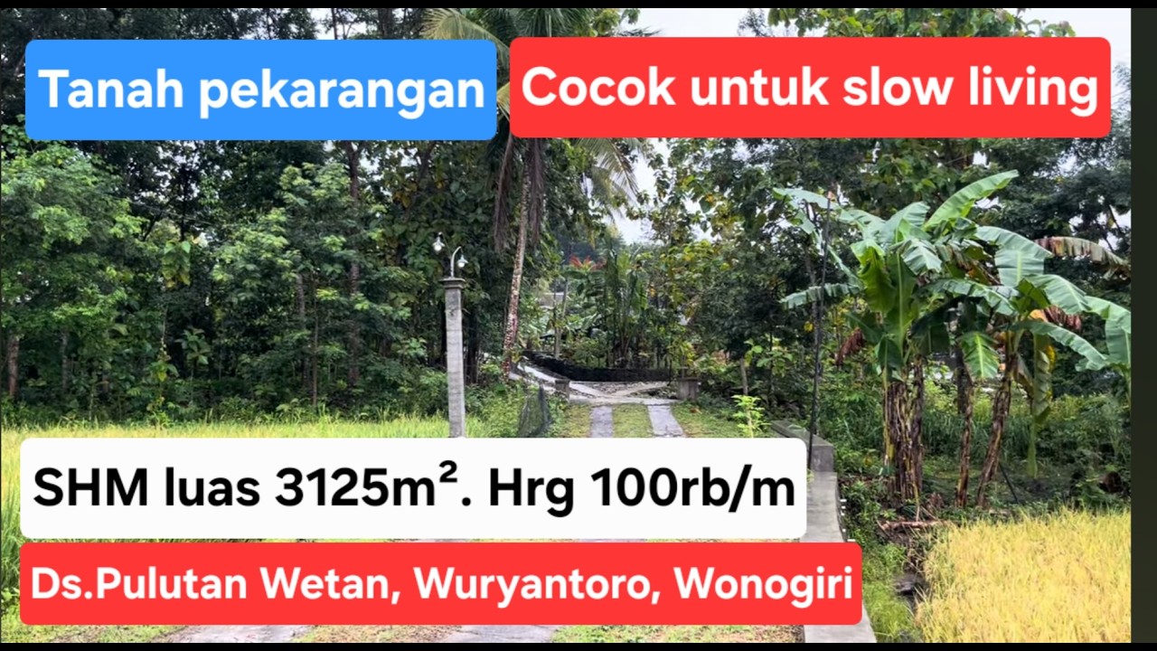 Tanah pekarangan cocok untuk slow living, SHM 3.125 m², harga 100rb/m. Lok. Wuryantoro,Wonogiri
