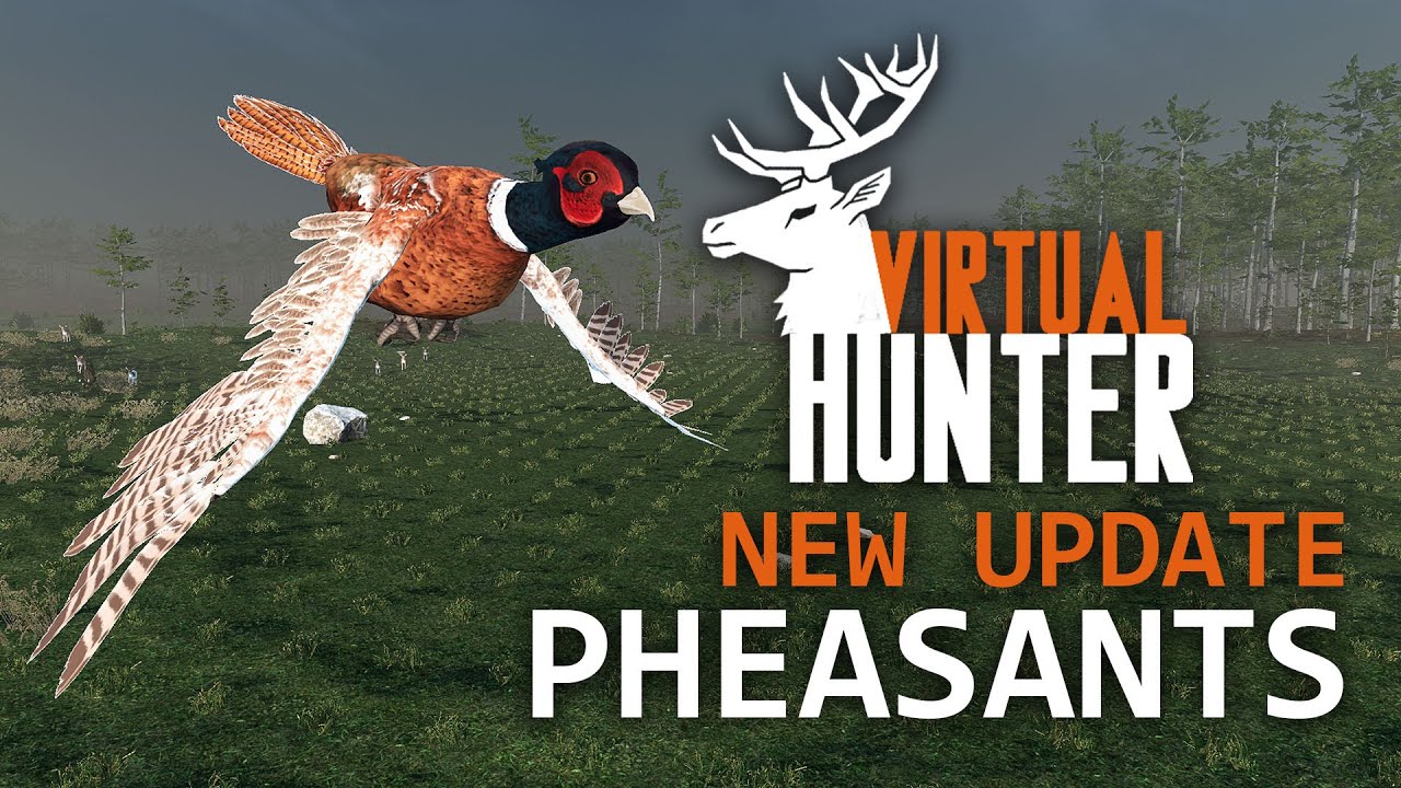 Virtual Hunter | Pheasant Update Overview