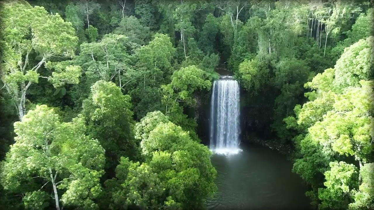 Millaa Millaa Falls