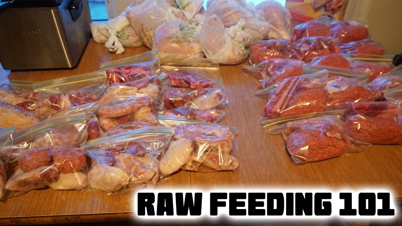 Raw Diet For Dogs 101 - Introducing Raw Meat To Your Puppy