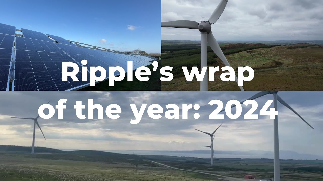 Ripple's wrap of the year: 2024 🎉