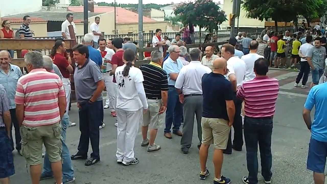 ENCIERRO DE NOVILLOS-TOROS-FIESTAS DE LA JUVENTUD DE MILAGRO (NAVARRA)