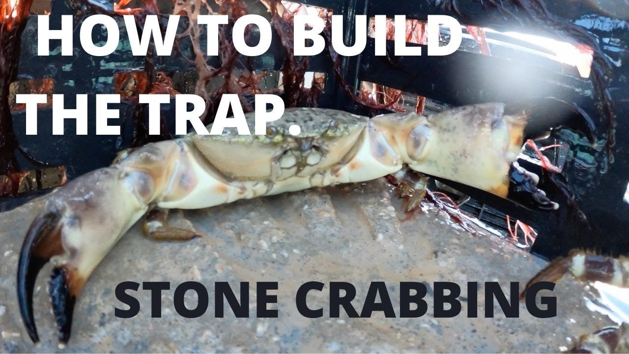 HOW TO BUILD STONE CRAB TRAPS