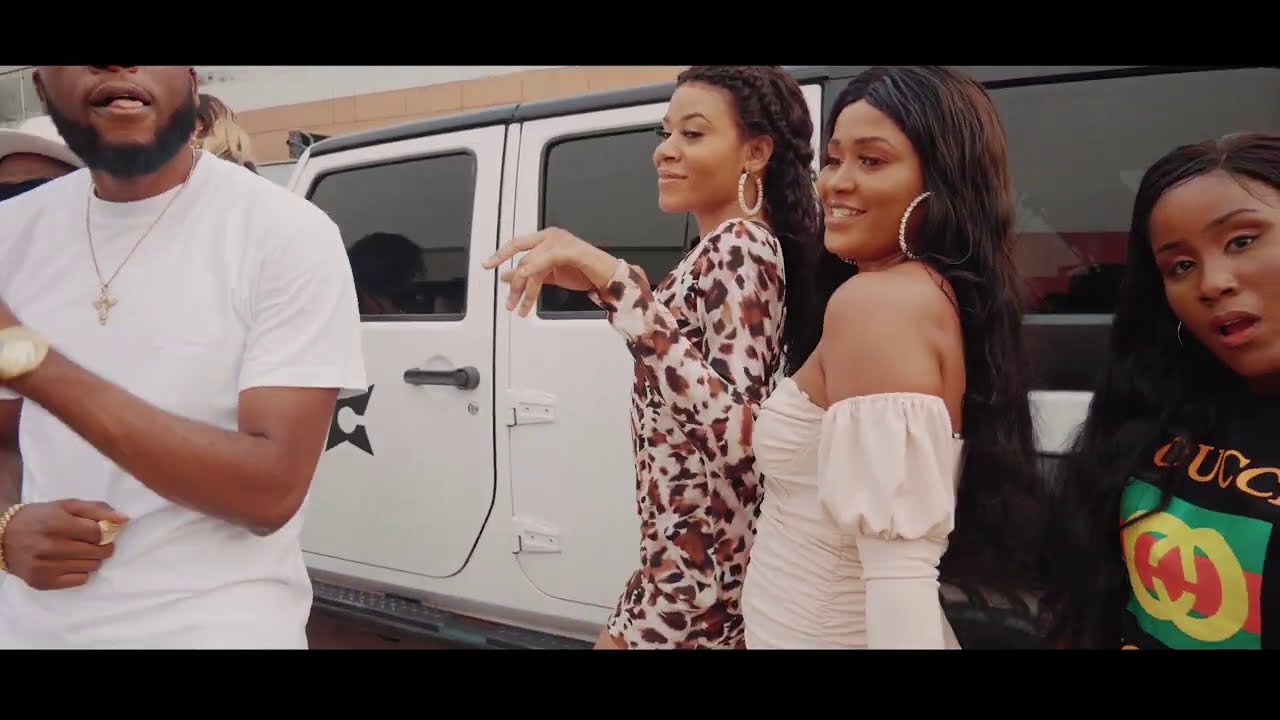 HARRY B X SLIM BROWN - PEDIGREE [OFFICIAL VIDEO]
