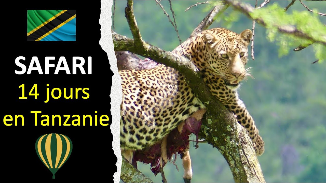 14 jours de safari en Tanzanie