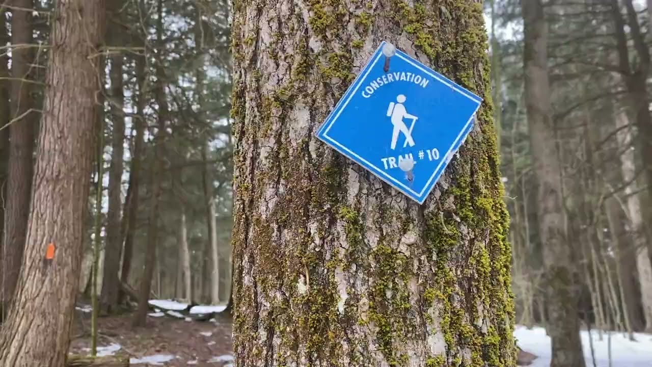 Allegany State Park - Red House Area
