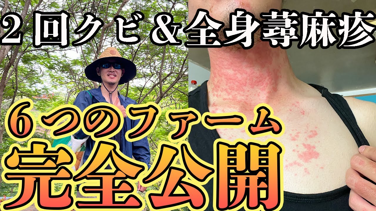 【ワーホリ】🇦🇺で働いた６つのファームの名前・場所などの詳細全て公開　#オーストラリア #ファームジョブ #cairns