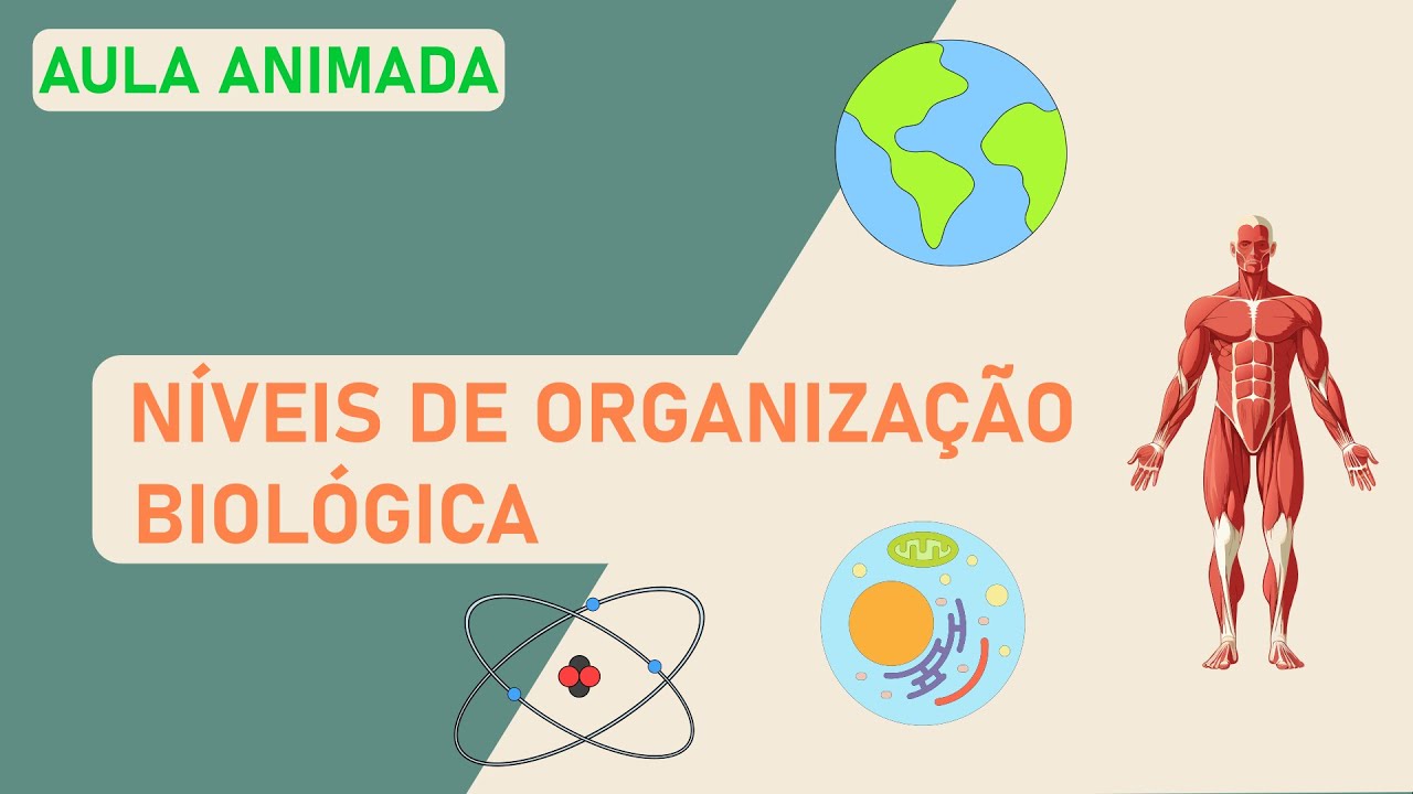 Níveis de organização biológica | Aula animada 02 (Ensino Médio)