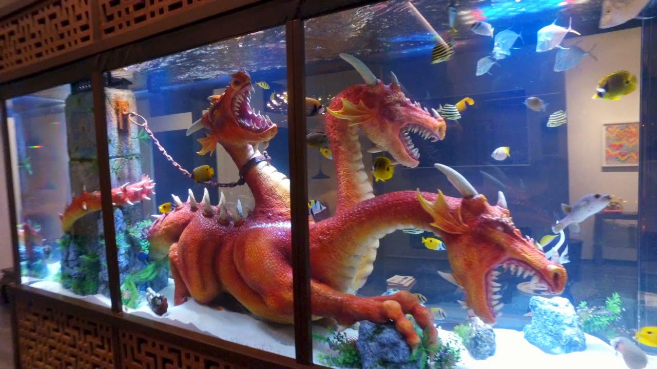 Steve Aoki's Dragon Tank
