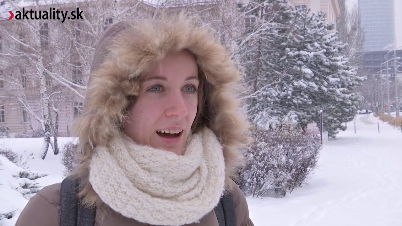 Snehová kalamita alebo keď sneží v hlavnom meste