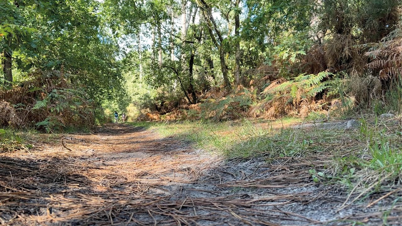 L’Allée de Boissière, le nouvel itinéraire du domaine de Certes & Graveyron
