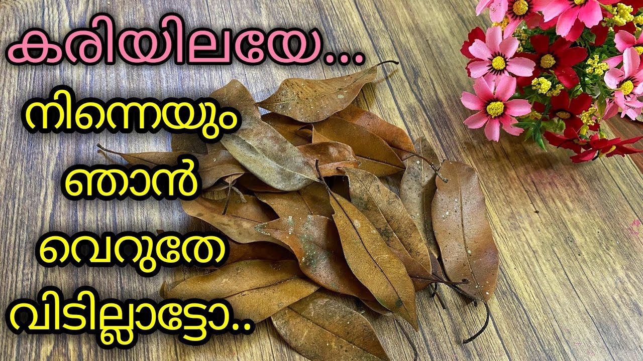 Dried leaf craft /wall hanging with waste materials/Wall decor ideas / DIY ideas/Best out of waste /