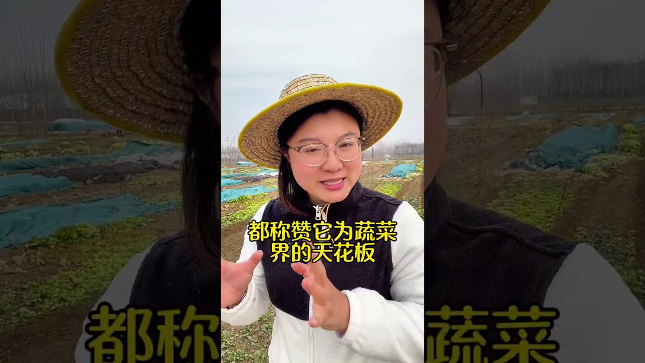 #Vegetables#Vegetable cultivation#Vegetable seeds#Grow vegetables