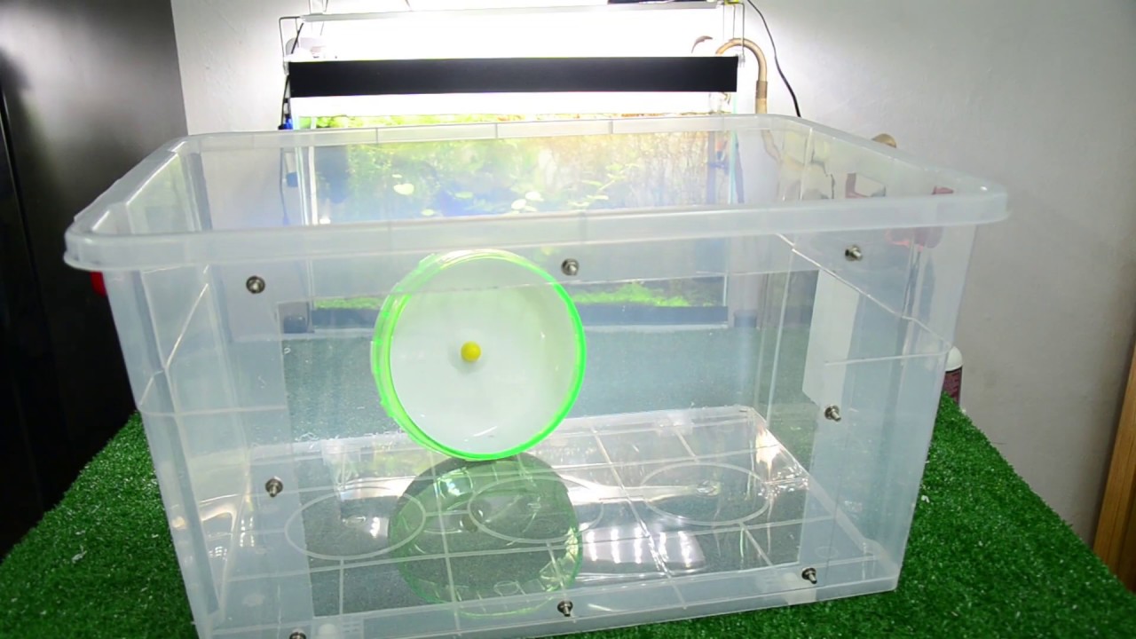 diy tesco 75L 整理箱仓鼠笼