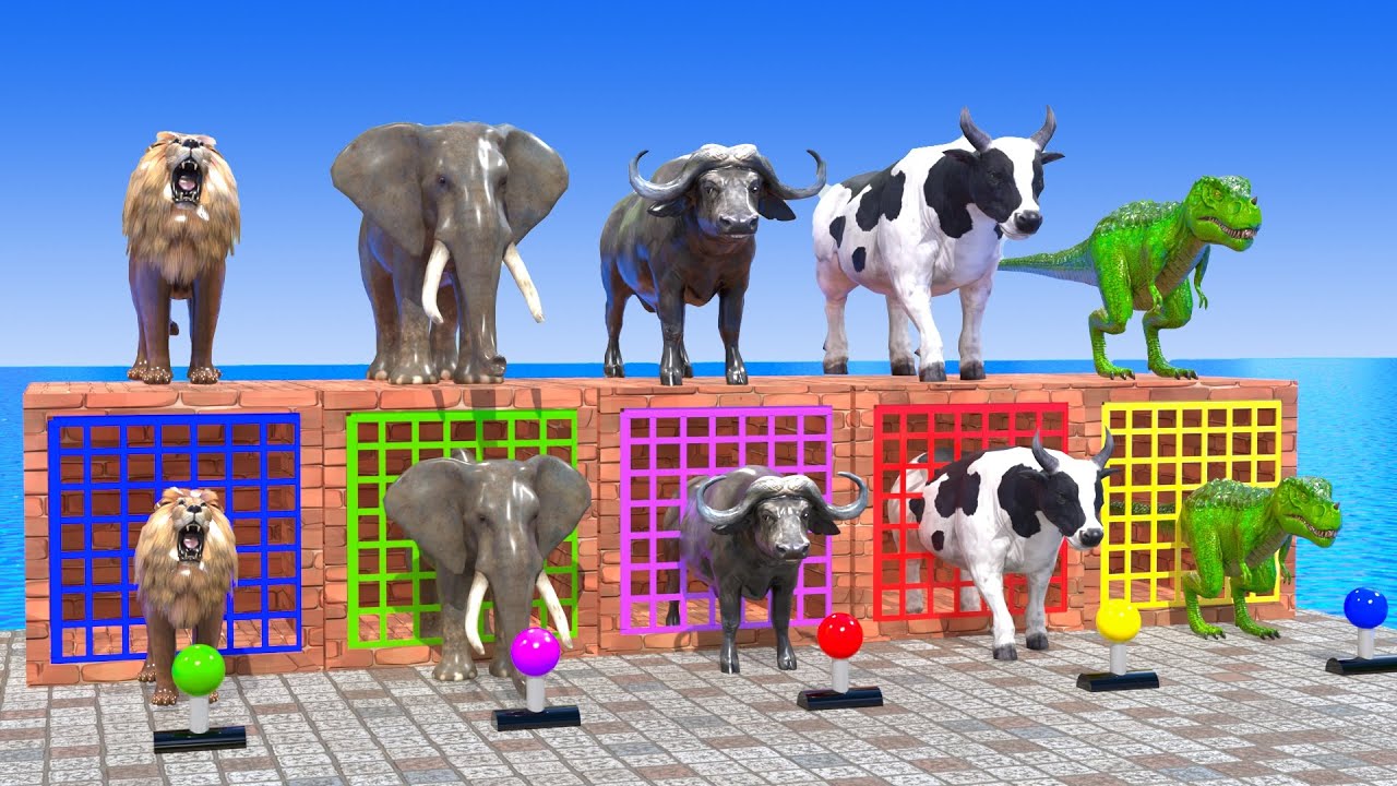 Long Slide Game With Lion Elephant Buffalo Cow T-REX - 3d Animal Game - Funny 3d Animals