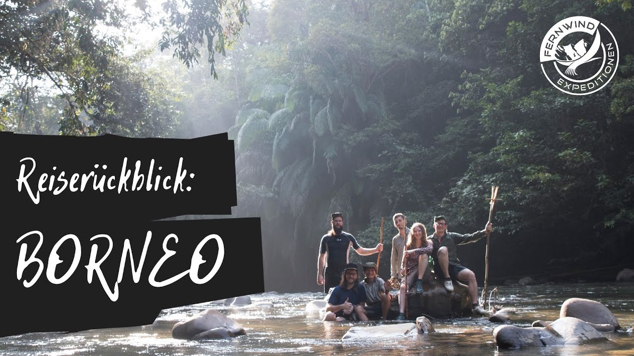REISER&Uuml;CKBLICK BORNEO: Eine Expedition in den Regenwald