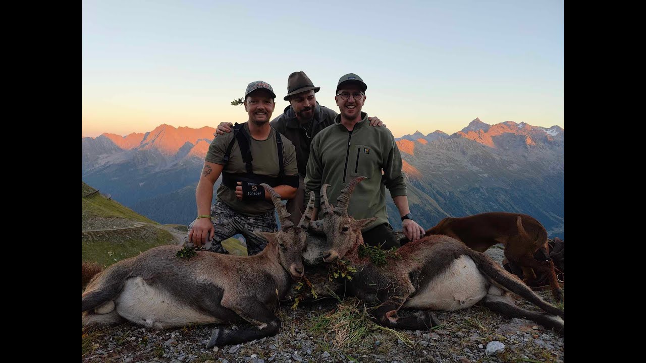 Alpine Ibex hunting | Steinbock jagd | Tirol, Austria 2023