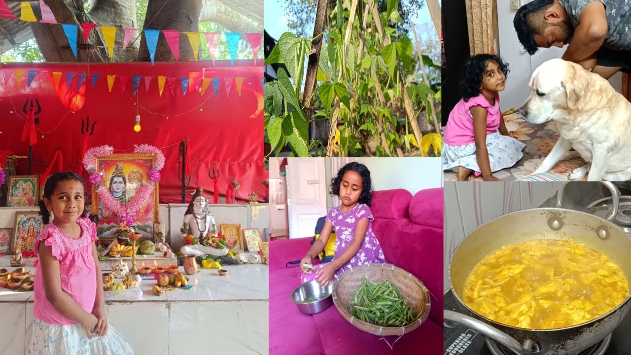 10 হাজাৰ টকাত 10 বছৰ lasting কৰিলে/Egg bhurji curry/School পৰা আহিয়েই কামত লাগিছে 