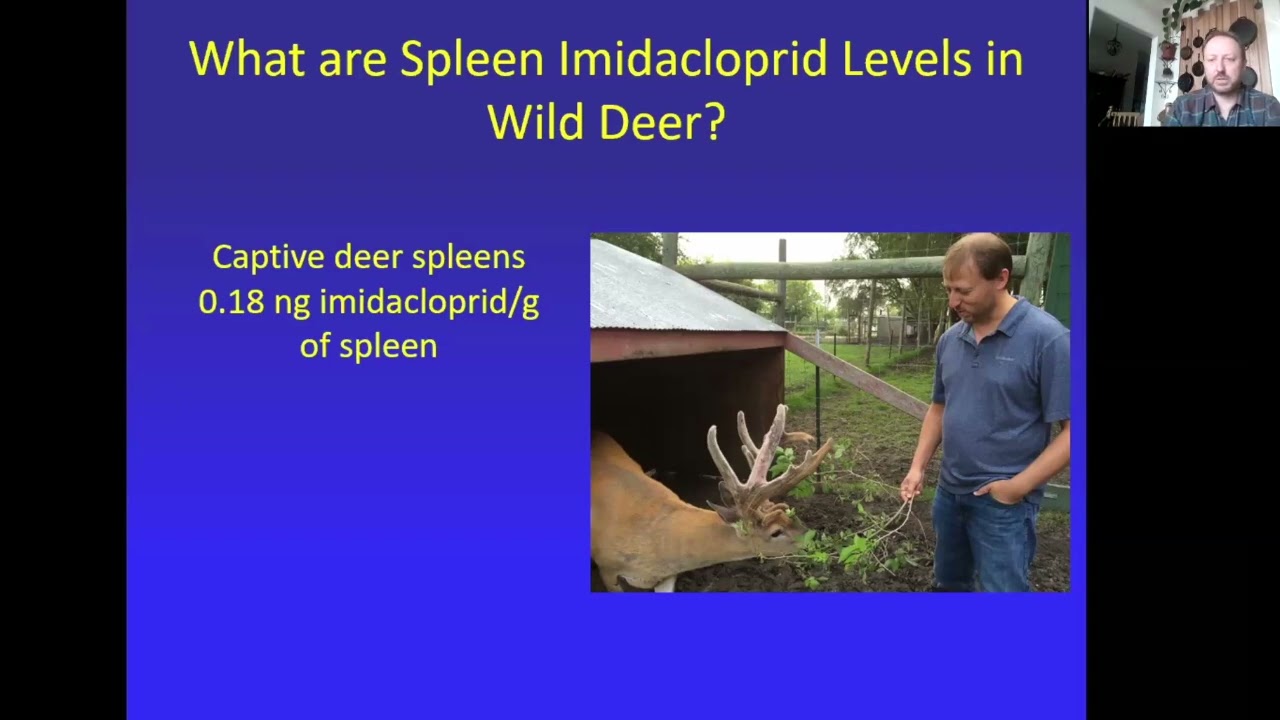 Regenerative agriculture practices, pollinators and pesticide effects