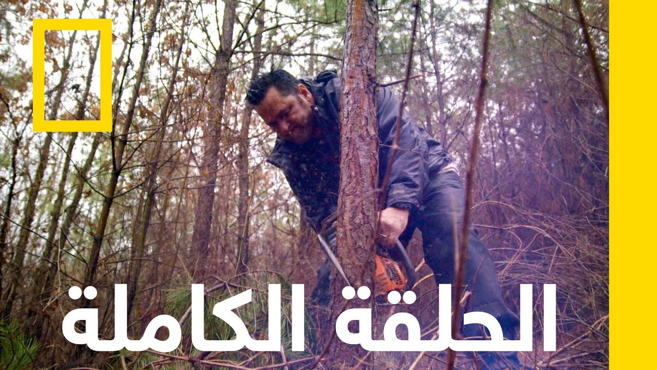 المأوى | البقاء على قيد الحياة | ناشونال جيوغرافيك أبوظبي