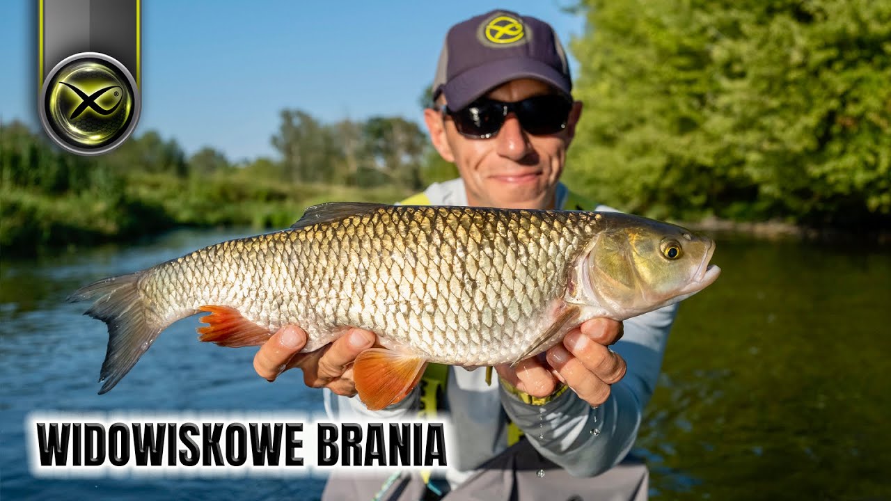 JAK ŁOWIĆ NA CHLEB Z POWIERZCHNI