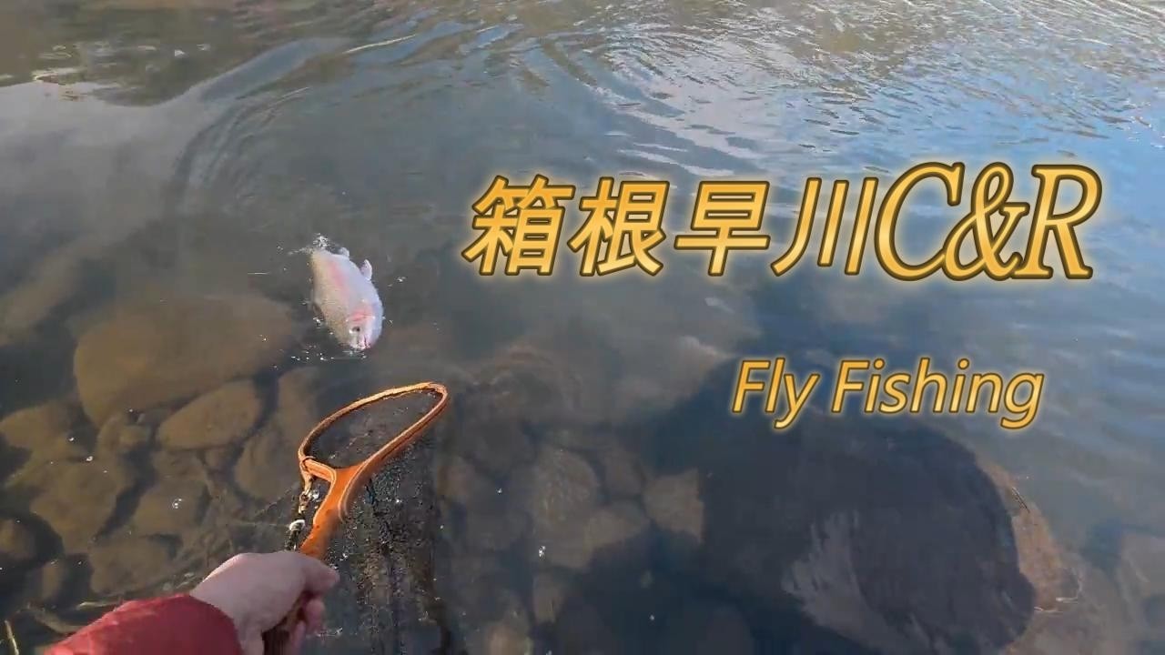 箱根早川解禁　春期C＆Rと上流通常期C＆R
