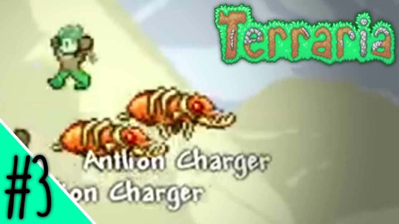 Terraria Live (3) - DED