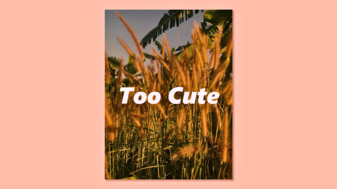 [FREE] R&B Type Beat “ Too Cute ” Romantic Love Beat Instrumental 2026