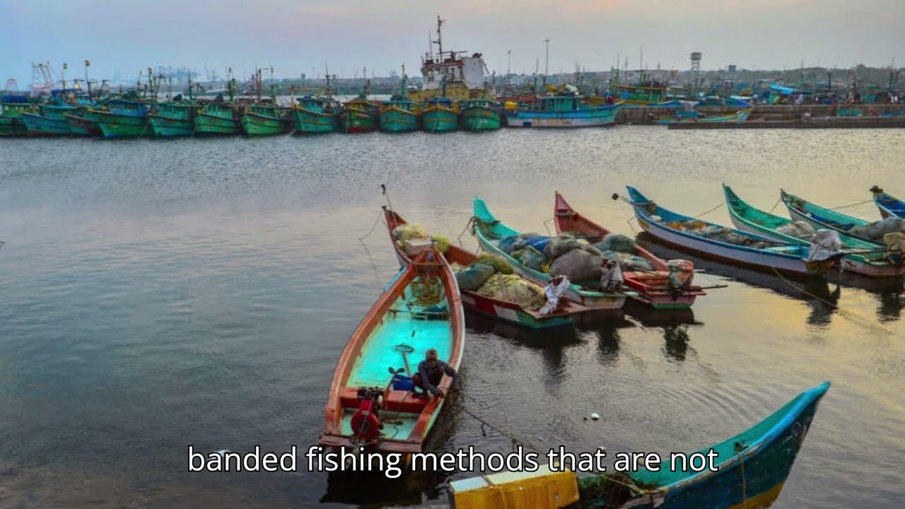 Katchatheevu Island: A Timeline of the Indo-Lankan Maritime Dispute