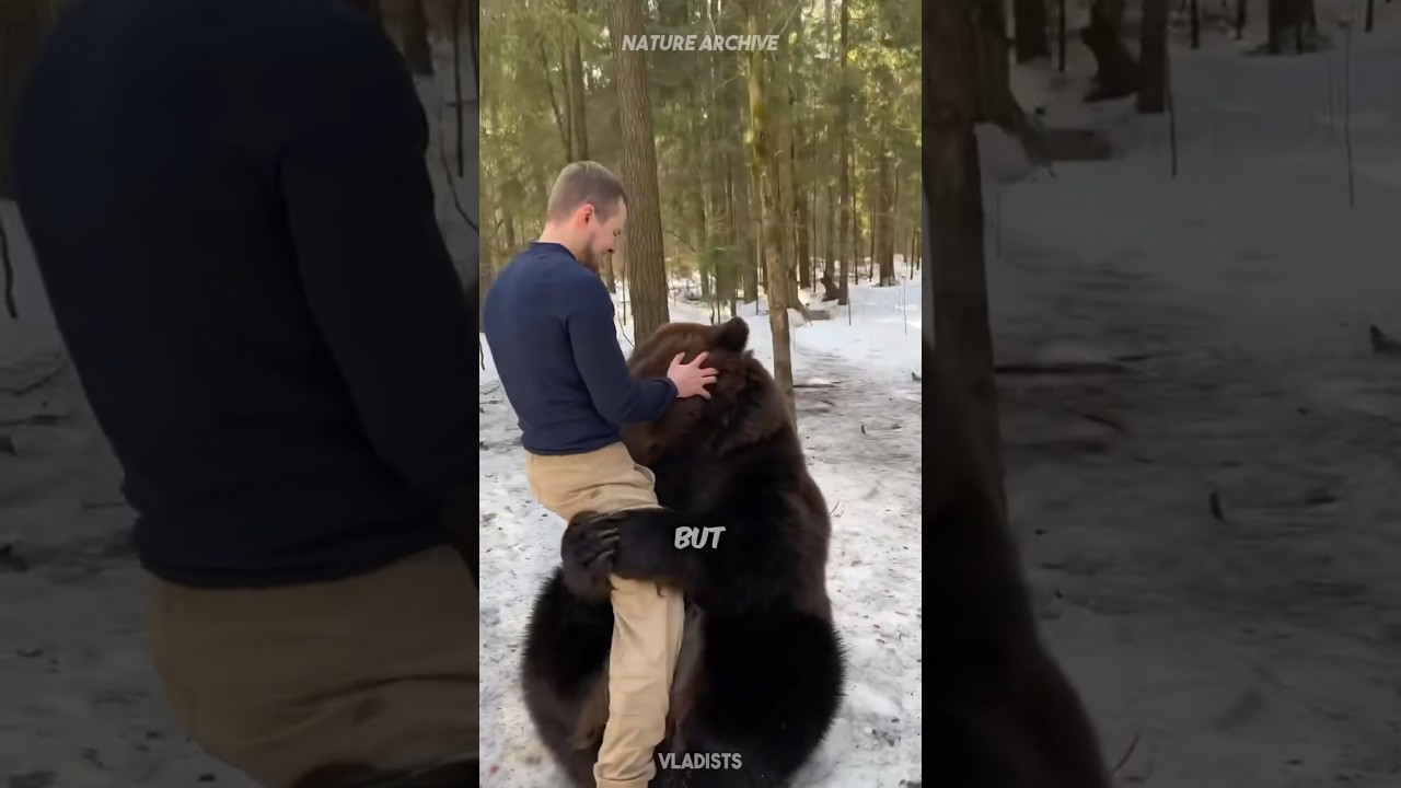 Как пережить нападение медведя 🐻