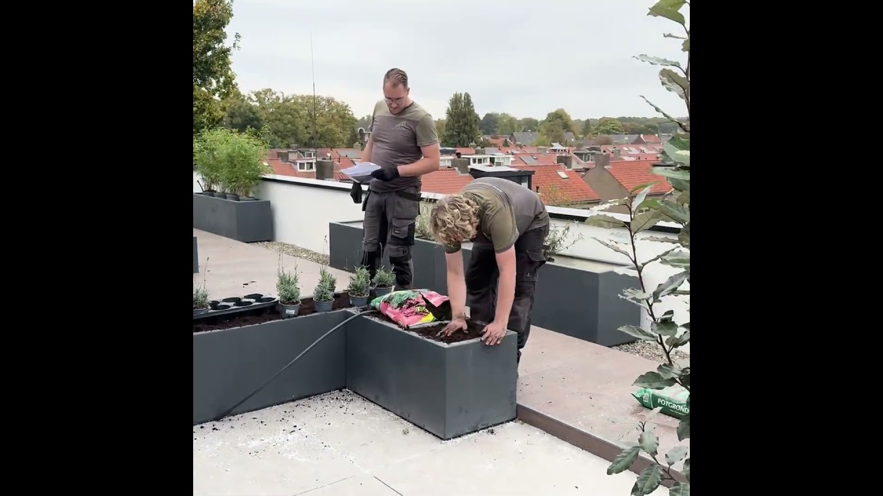 Dakterras Loosdrecht | Tuin- & boomspecialisten Gebroeders van Vliet