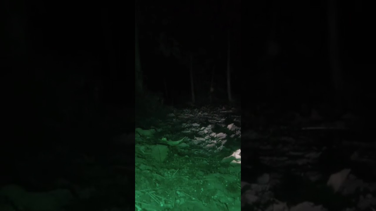⚠️🉐misteri waduk kali mbako Jombang‼️