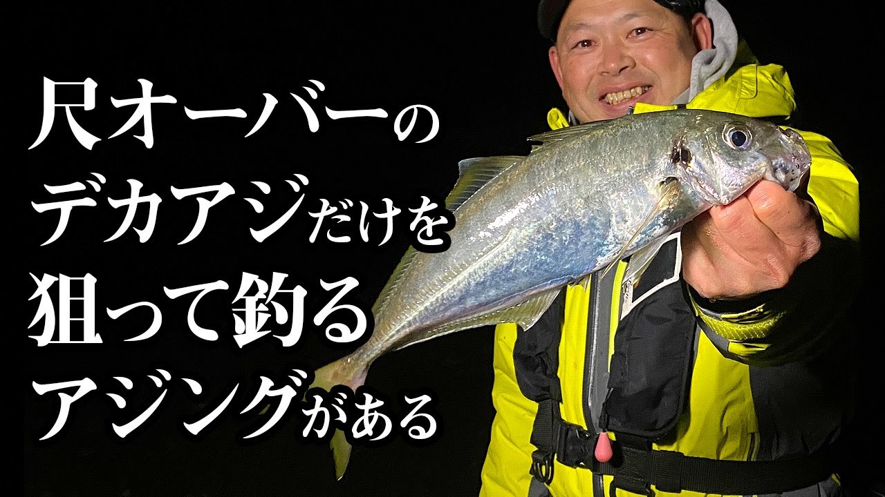 【デカアジ狙いの法則】尺オーバーのデカアジを狙って釣る方法があるという