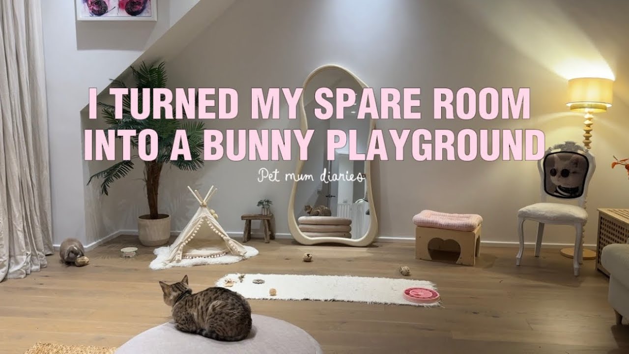 I Turned My Spare Room Into a Bunny Playground 🐰 
