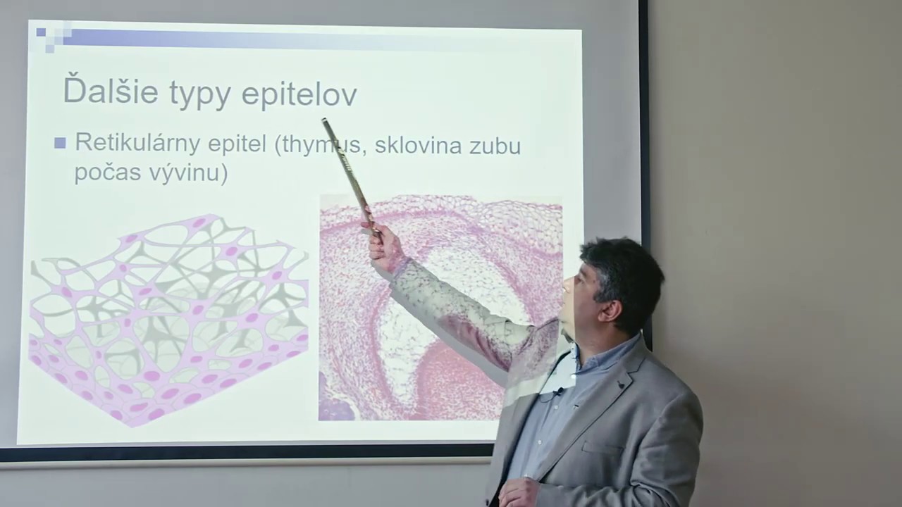 Všeobecná histológia: Epitelové tkanivo