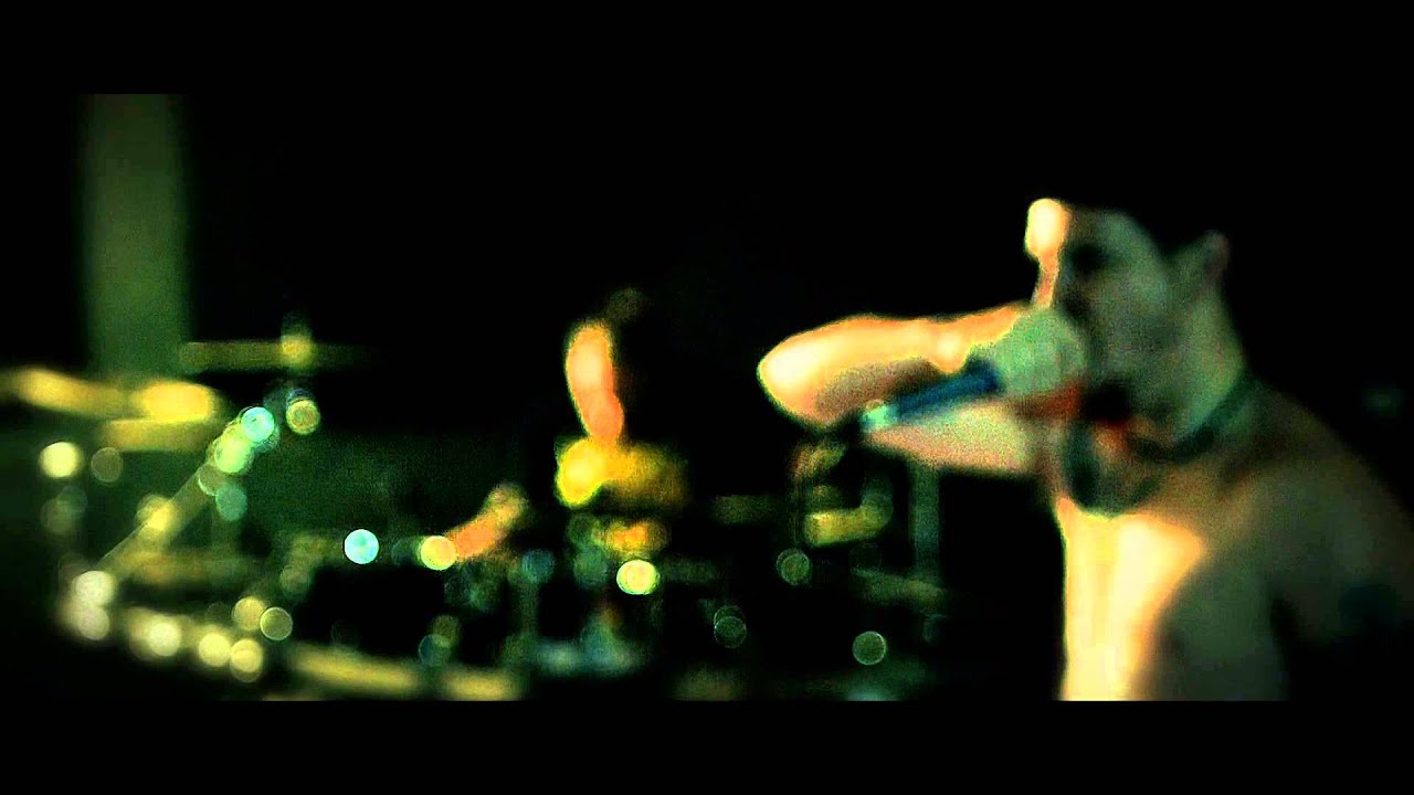 EXPULSED // live teaser