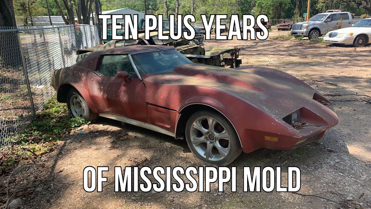 Cleaning A Custom Wide-Body 1970 Corvette After It Had Been Sitting For Years. Hello Corvette Summer