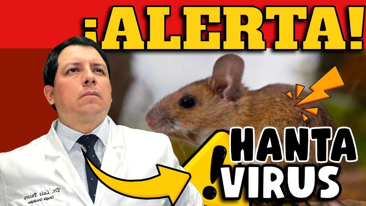 ¡ALERTA! ¿VIRUS TRANSMITIDO POR ROEDORES? ¿QUÉ ES EL HANTAVIRUS? - CASO DE BETSY ARAKAWA!!!!