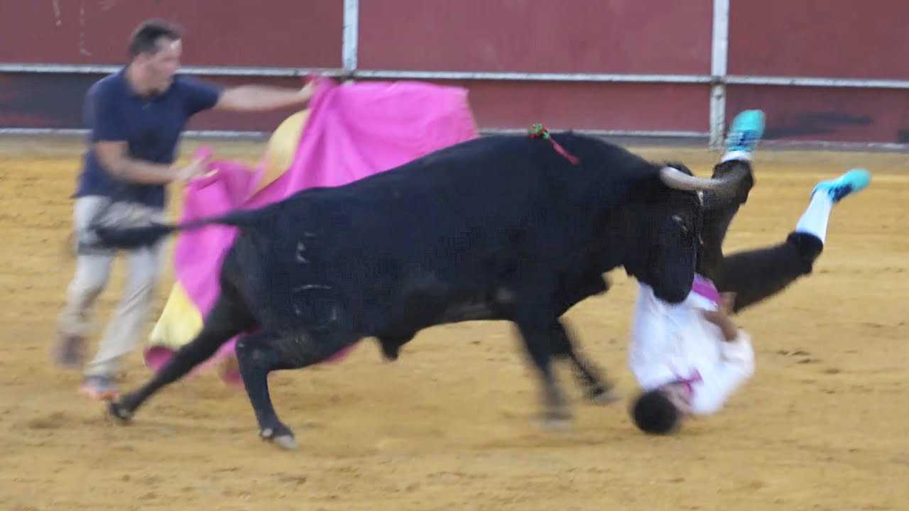 😱 TORO COGE A ESTE CHICO! CONCURSO DE RECORTES PERALES DE TAJUÑA (MADRID) 2023