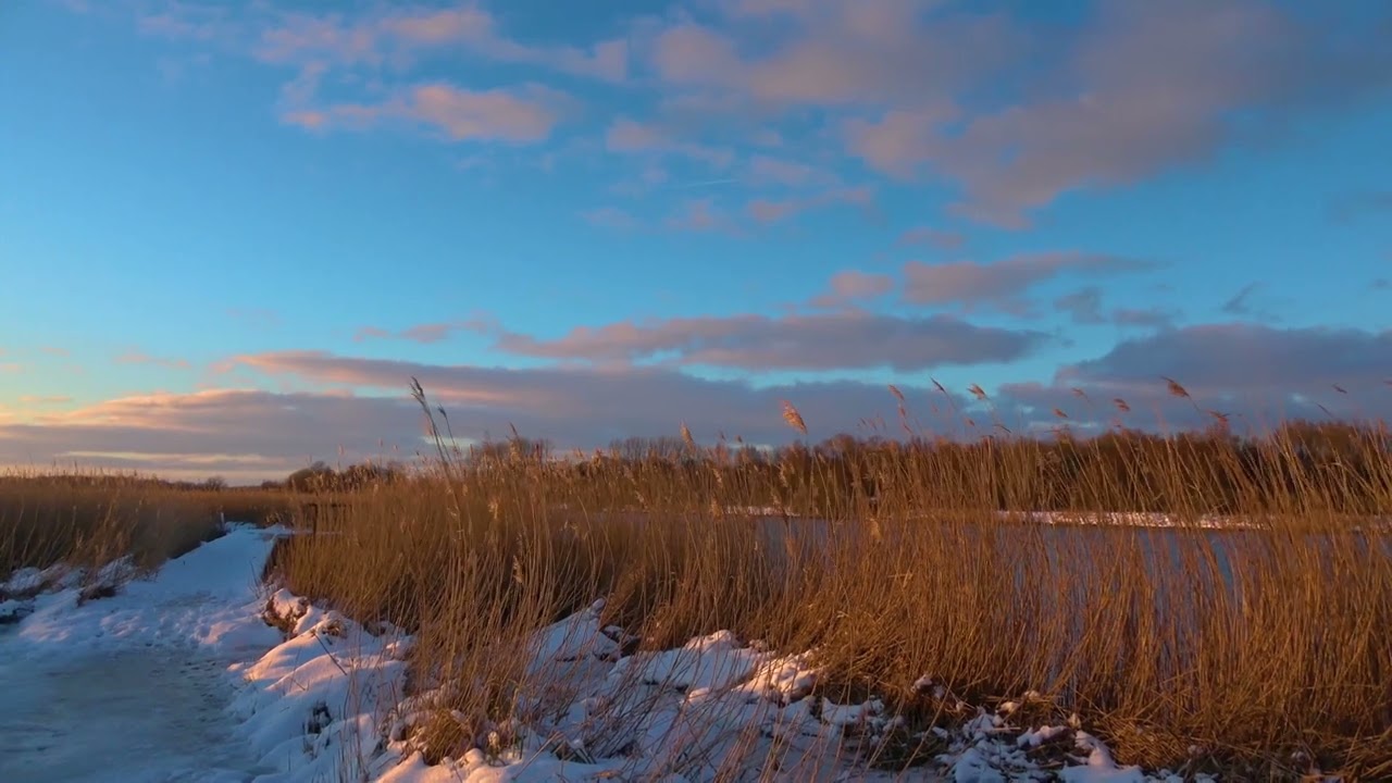 Winterlandschaft in Lübeck an der Trave, von der Herreninsel bis zum Fischerdorf Gothmund 08.01.2024