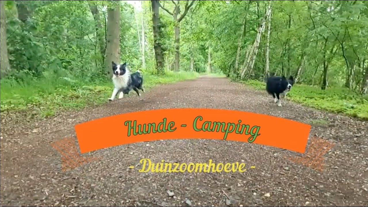 Camping Duinzoomhoeve - Für Hundecamper