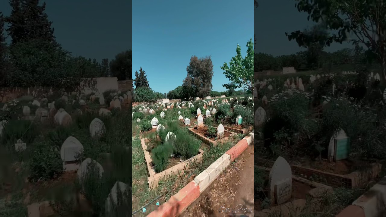 مقبرة حي اول نوفمبر مدينة وادي العلايق
