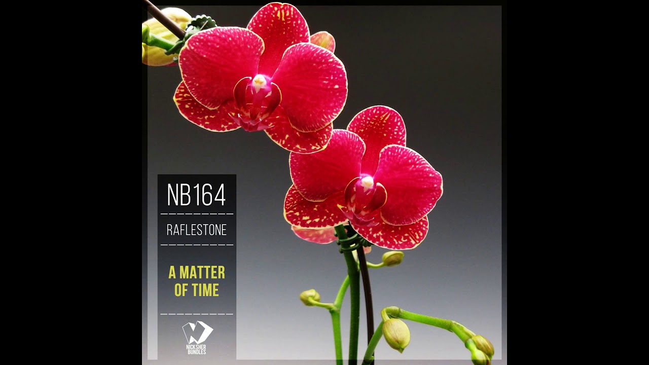 RafleSTone - The First Time (Original Mix)