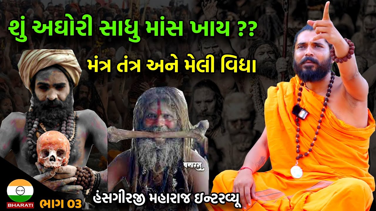 આઘોરી સાધુ - મંત્ર તંત્ર અને સિદ્ધિ વિષે પરમ પૂજ્ય શ્રી હંસગીરજી મહારાજ સાથે એક સંવાદ