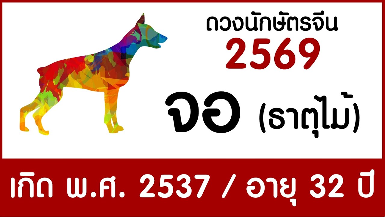#ดวงคนปีจอ(ธาตุไม้) เกิด พ.ศ.2537 #ดวงปี2569 #astrology2026 #chineseastrology2026 #ดูดวง2569