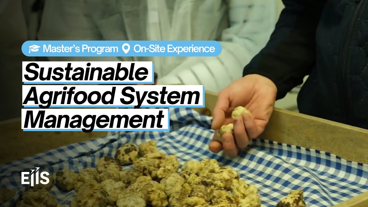 Sustainable Agrifood System Management Master&rsquo;s Program - Urbani Tartufi On Site Experience