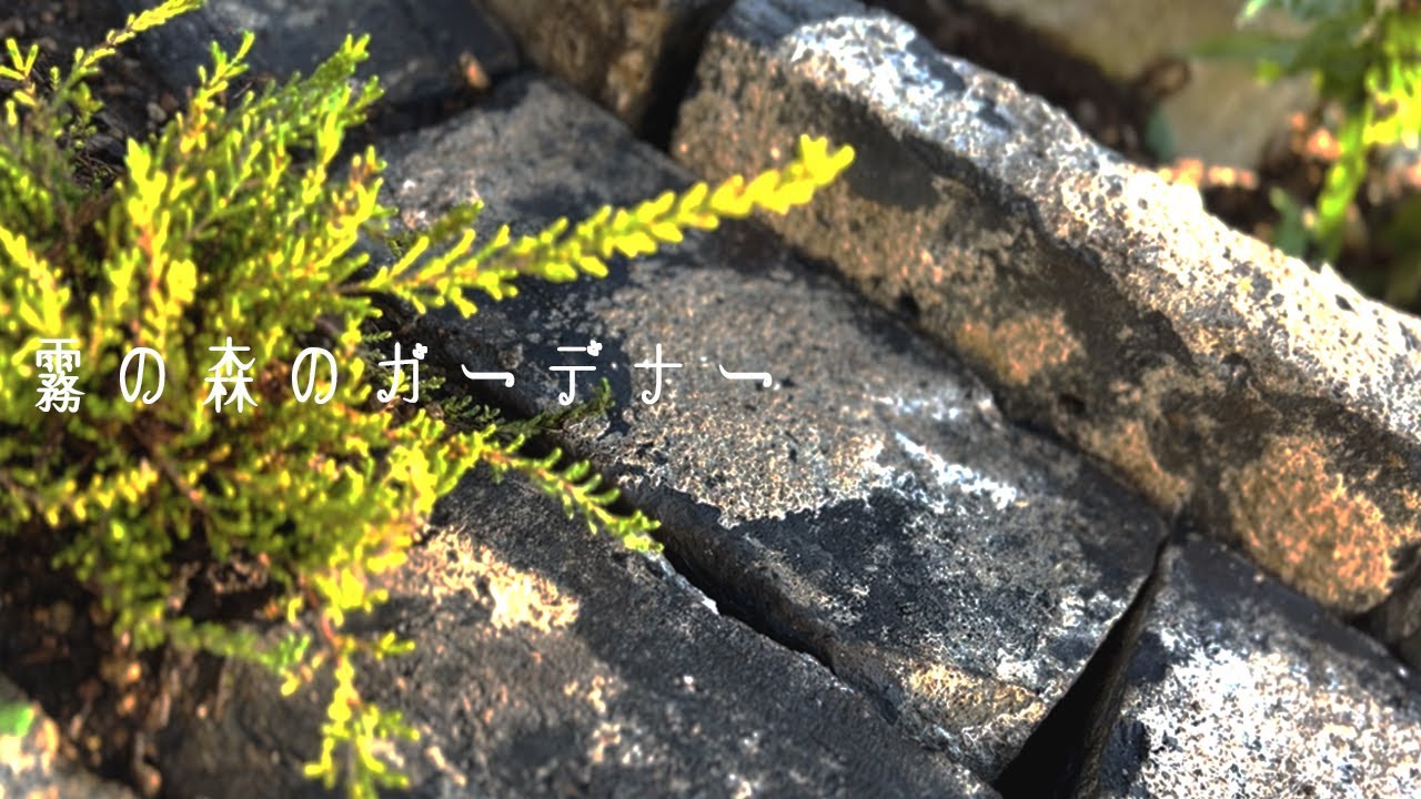 和風の庭にも合うアンティークレンガ