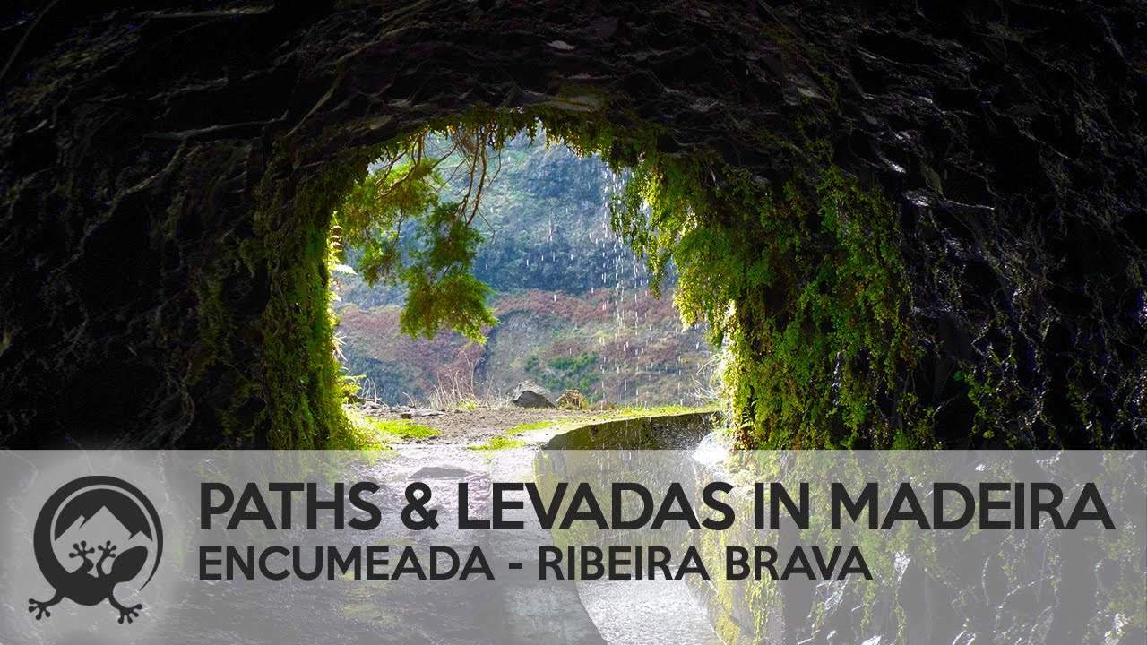 Best Levada Walk in Madeira ##Dangerous## Encumeada - Ribeira Brava